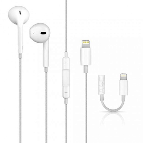 Apple Lightning Connector Headphones with AUX Adapter