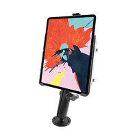 RAM Mount EZ-Roll'r Cradle Flat Surface Dash Desk Mount for iPad Pro Gen 3 & 4